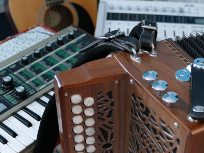 L'accordéon diatonique irlandais